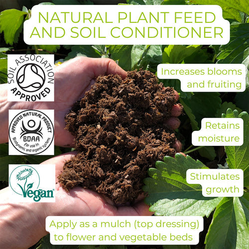 What is mulching (top dressing) and should you do it?