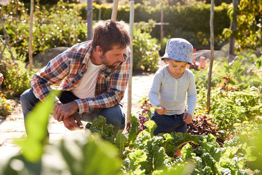 Gardening Picture