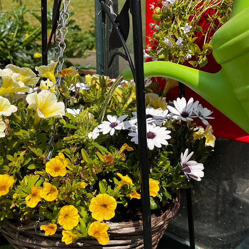 Watering Hanging Baskets