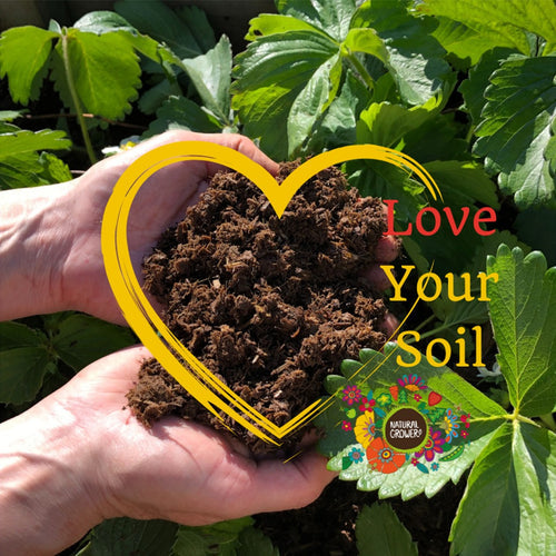 Love your Soil