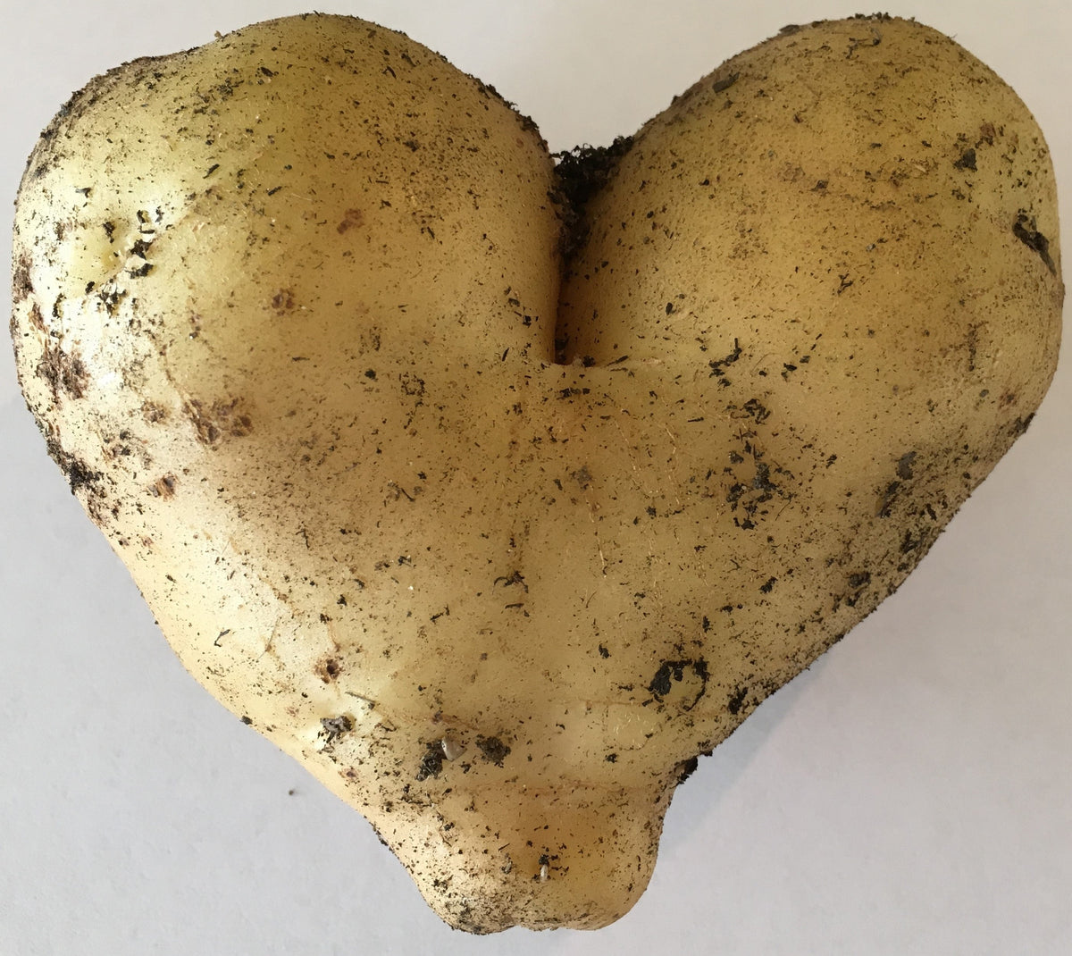What is the best organic compost for growing vegetables
