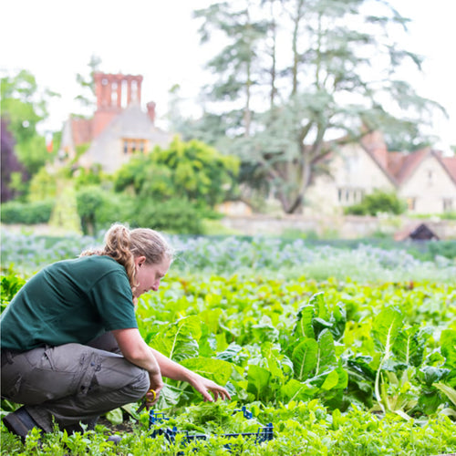 Raymond Blanc Gardening School