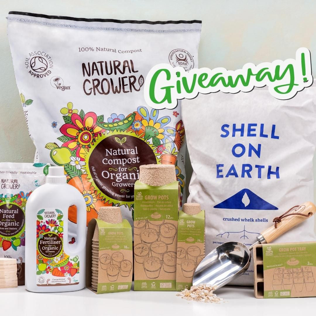 Giveaway with Shell on Earth