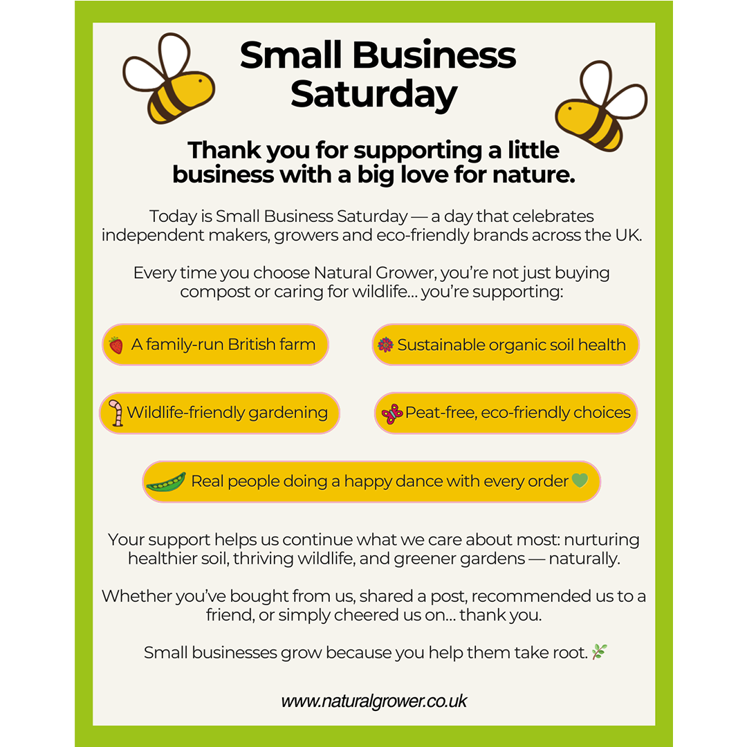 Small Business Saturday 2025