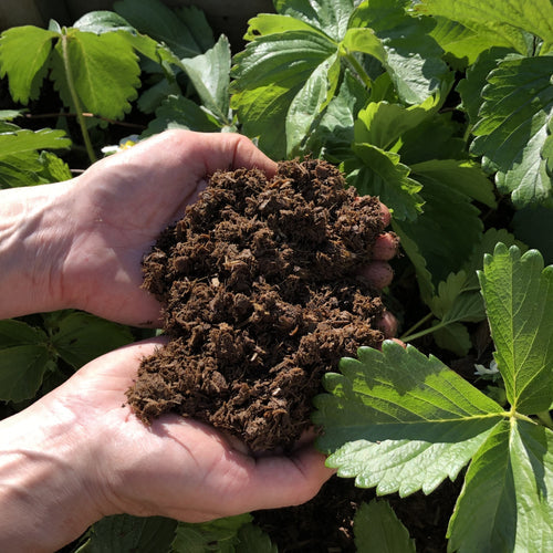 Natural Grower Soil Conditioner