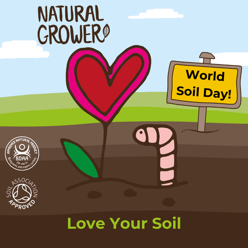 World Soil Day