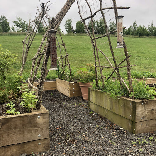 Raised Beds