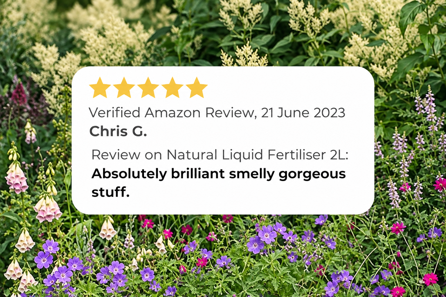 Five-star verified Amazon customer review of Natural Grower Liquid Fertiliser 2L