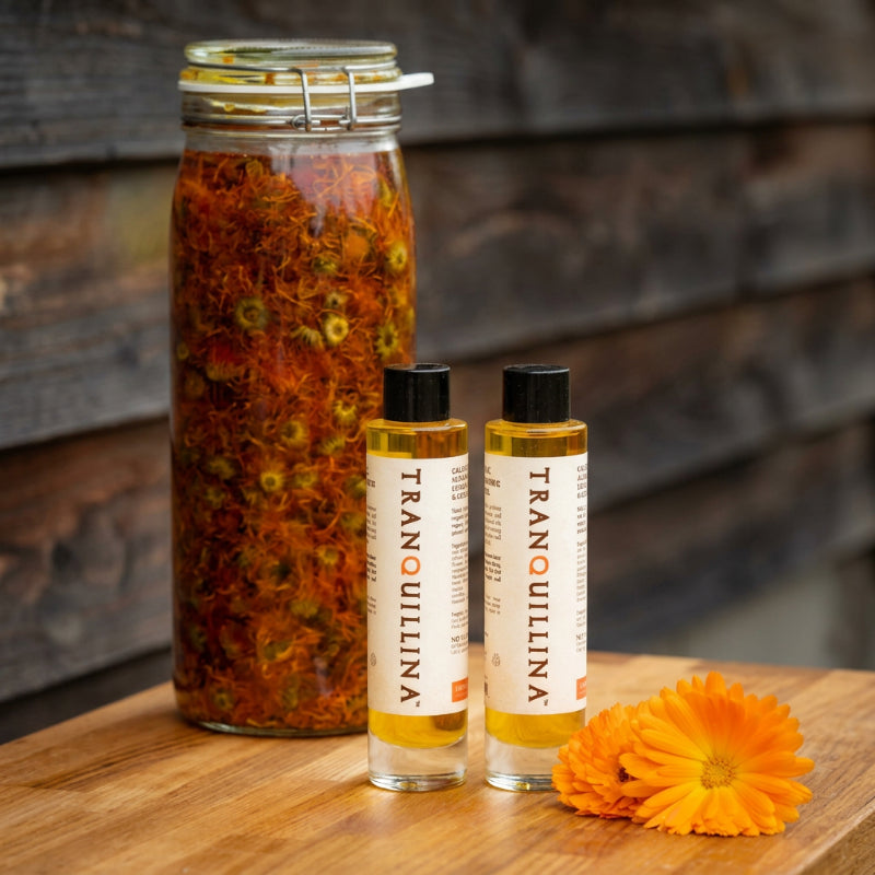 TranQuillina Calendula Oil bottles beside a jar of orange calendula flowers