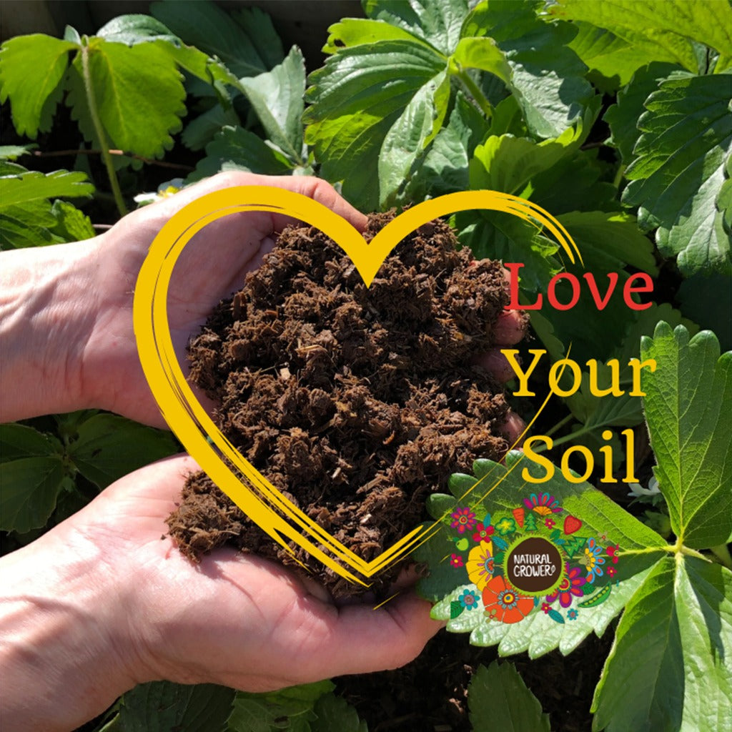 Organic Plant Feed 22L - Bag in a Box
