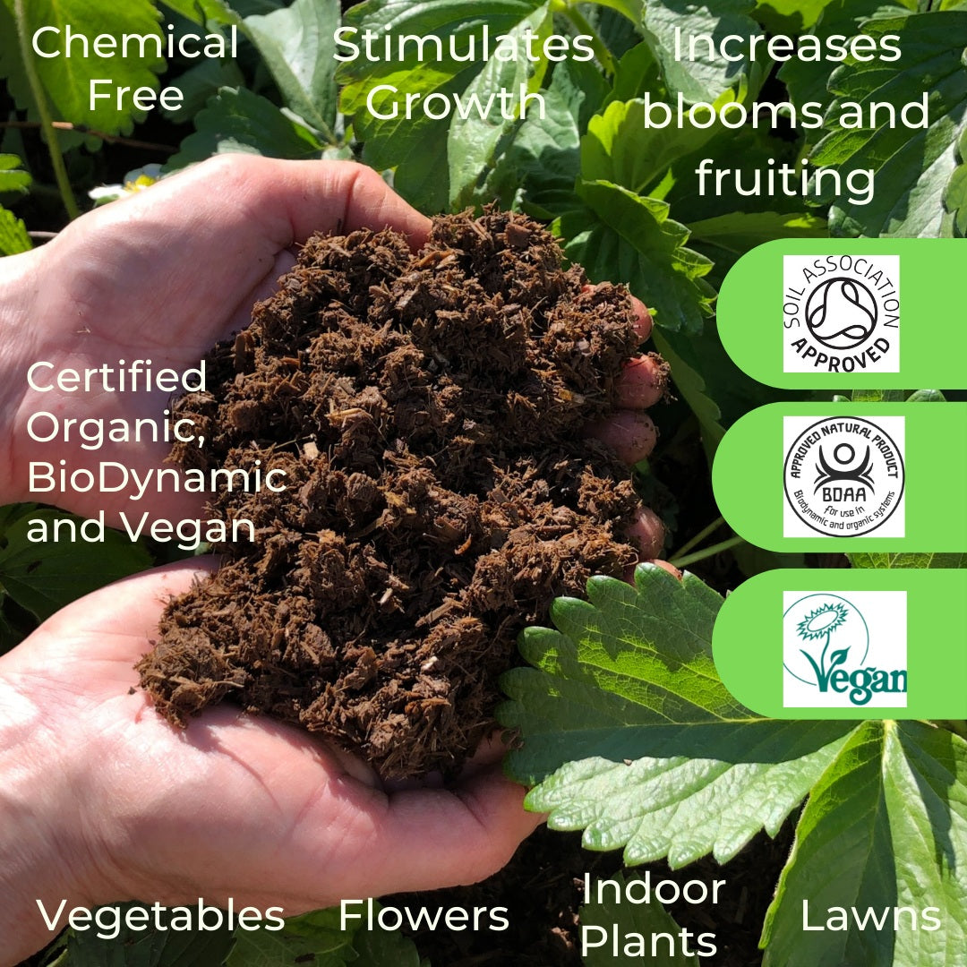 Natural Grower Plant Feed & Soil Improver slow-release feed and soil improver