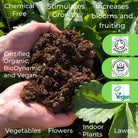 Natural Grower Plant Feed & Soil Improver slow-release feed and soil improver
