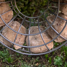 Suet feed balls for garden birds
