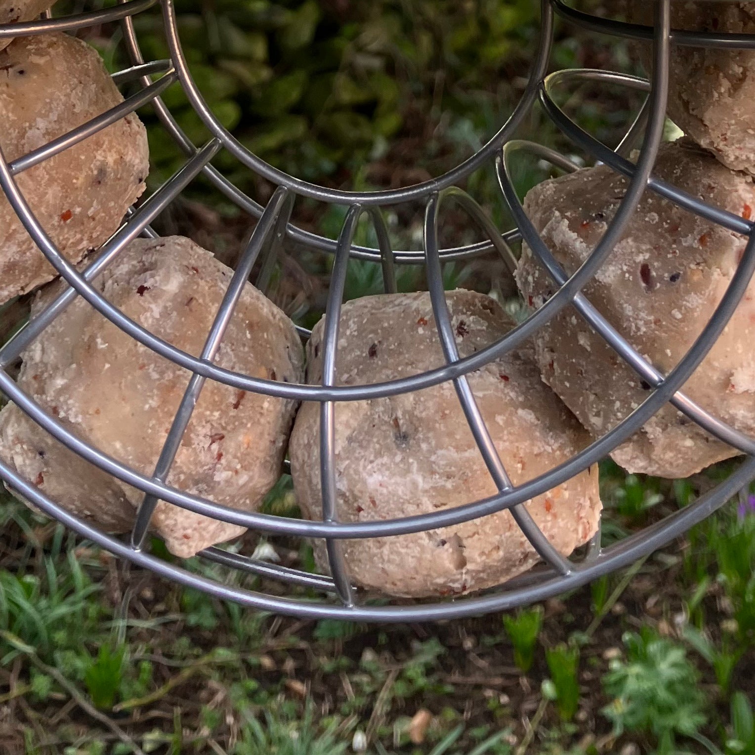 Suet feed balls for garden birds