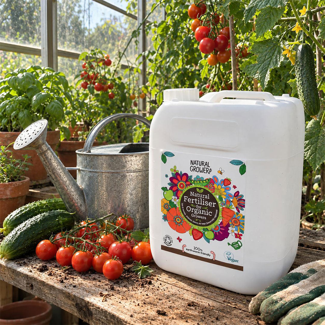 Natural Grower Liquid Fertiliser 10L with tomatoes and cucumbers in a greenhouse