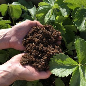 Slow-release organic fertiliser